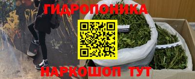 гидропоника Рузаевка